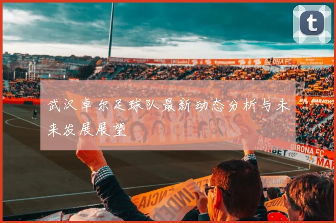 武汉卓尔足球队最新动态分析与未来发展展望