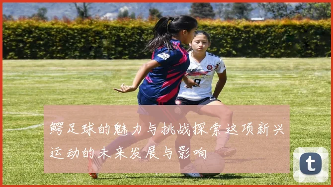 鳄足球的魅力与挑战探索这项新兴运动的未来发展与影响