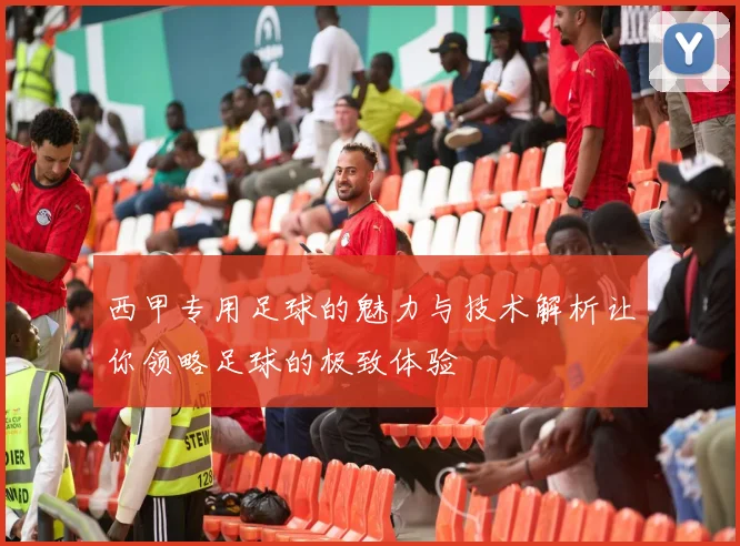西甲专用足球的魅力与技术解析让你领略足球的极致体验