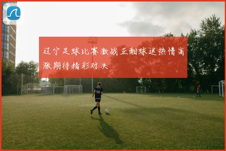 辽宁足球比赛激战正酣球迷热情高涨期待精彩对决