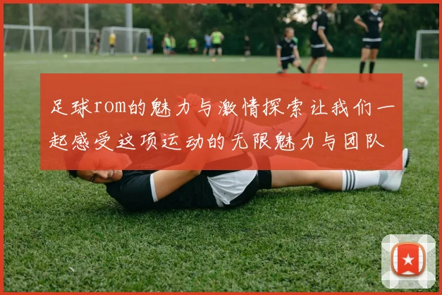 足球rom的魅力与激情探索让我们一起感受这项运动的无限魅力与团队精神